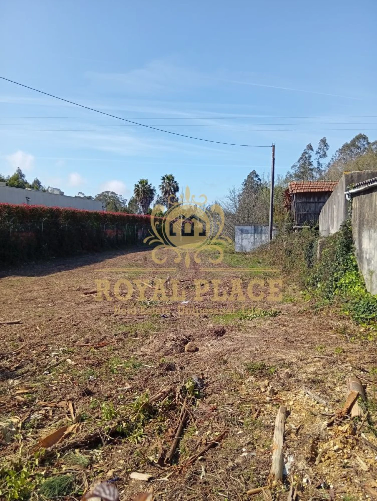 Terreno para Venda em Rio Meão Foto 7