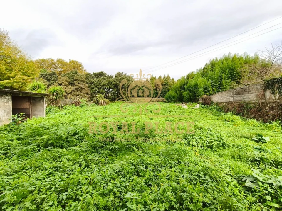 Moradia T3 para Venda em Santa Maria de Lamas Foto 19