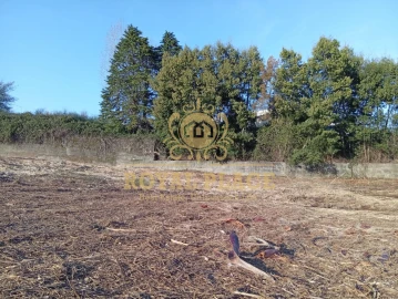 Terreno para Venda em Santa Maria da Feira, Travanca, Sanfins e Espargo