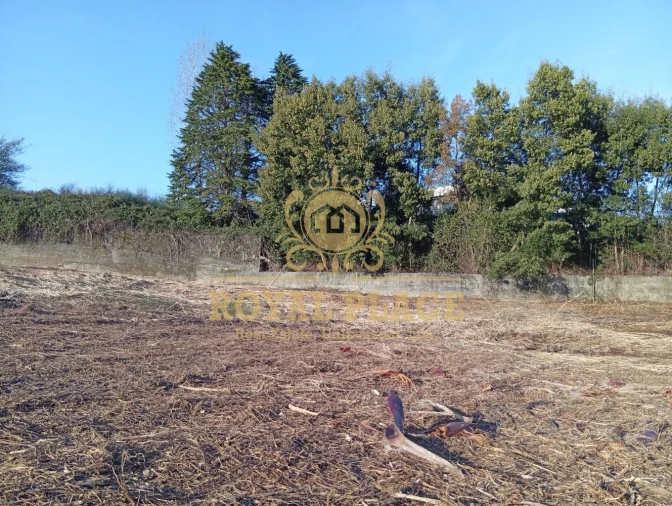 Terreno para Venda em Santa Maria da Feira, Travanca, Sanfins e Espargo Foto 9