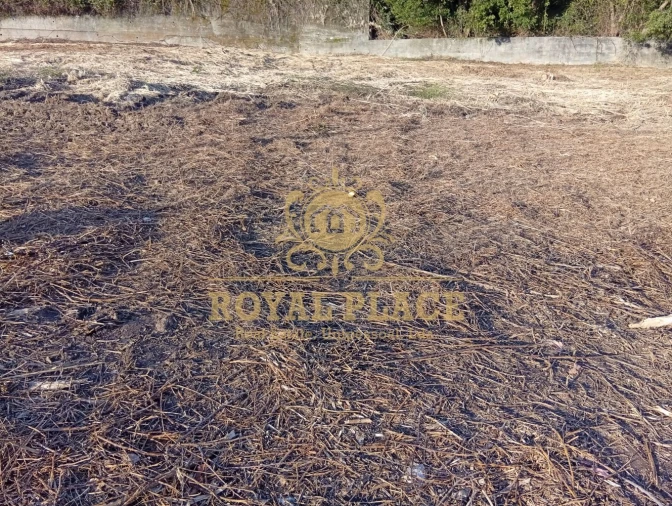 Terreno para Venda em Santa Maria da Feira, Travanca, Sanfins e Espargo Foto 10