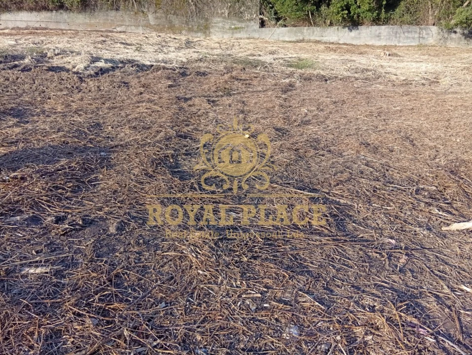 Terreno para Venda em Santa Maria da Feira, Travanca, Sanfins e Espargo Foto 10