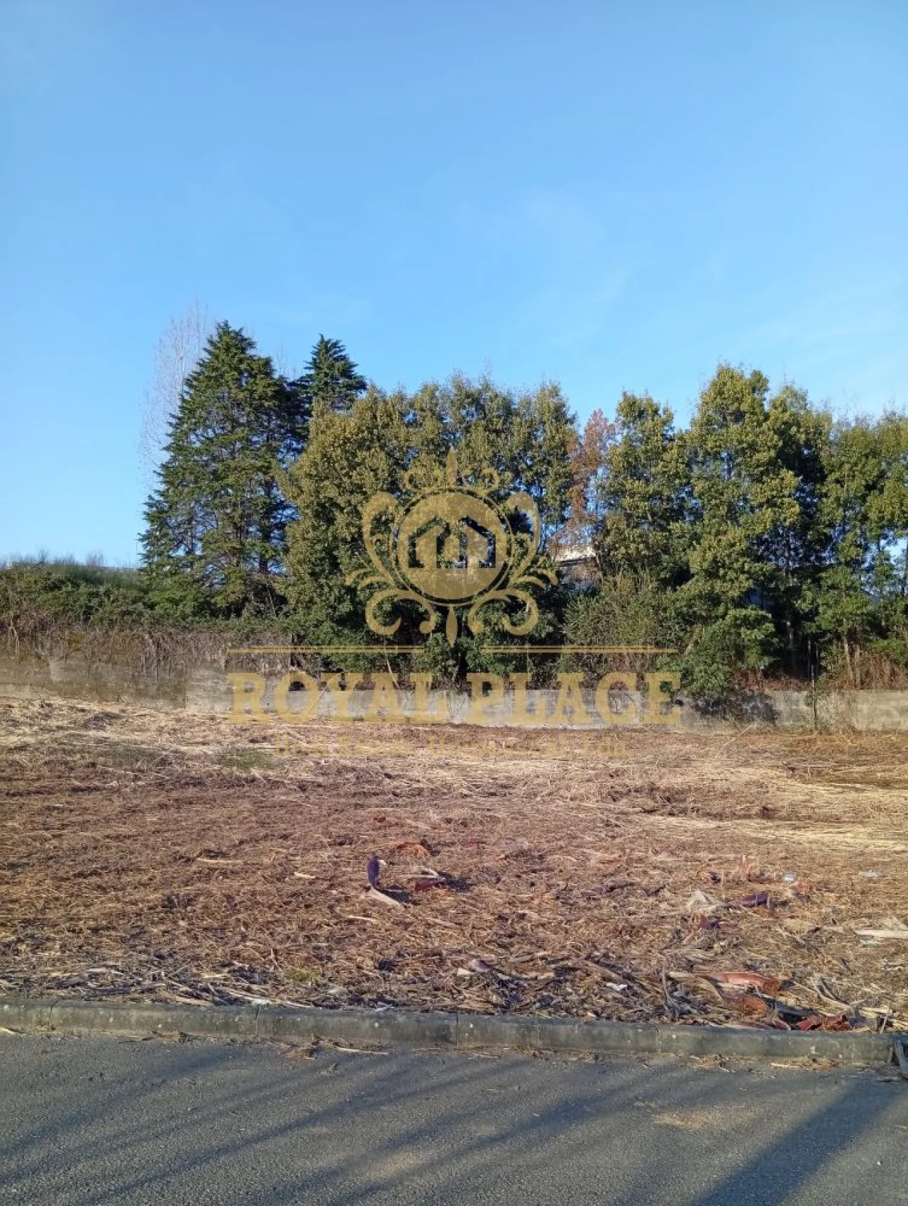 Terreno para Venda em Santa Maria da Feira, Travanca, Sanfins e Espargo Foto 8