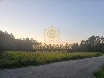 Terreno para Venda em Santa Maria da Feira, Travanca, Sanfins e Espargo