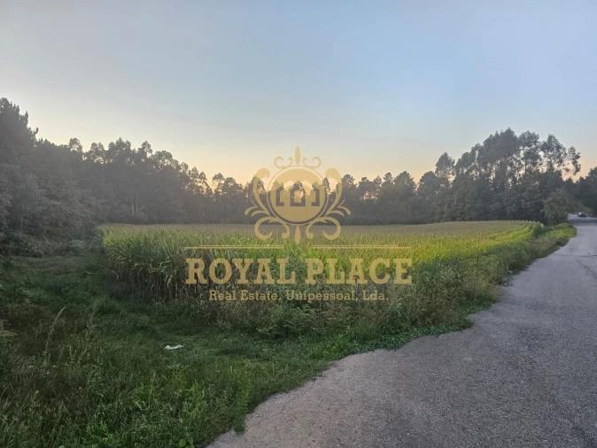 Terreno para Venda em Santa Maria da Feira, Travanca, Sanfins e Espargo Foto 9