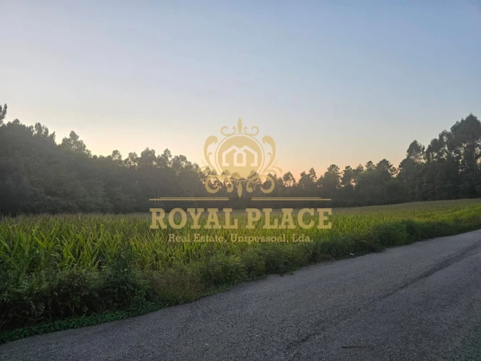 Terreno para Venda em Santa Maria da Feira, Travanca, Sanfins e Espargo Foto 6