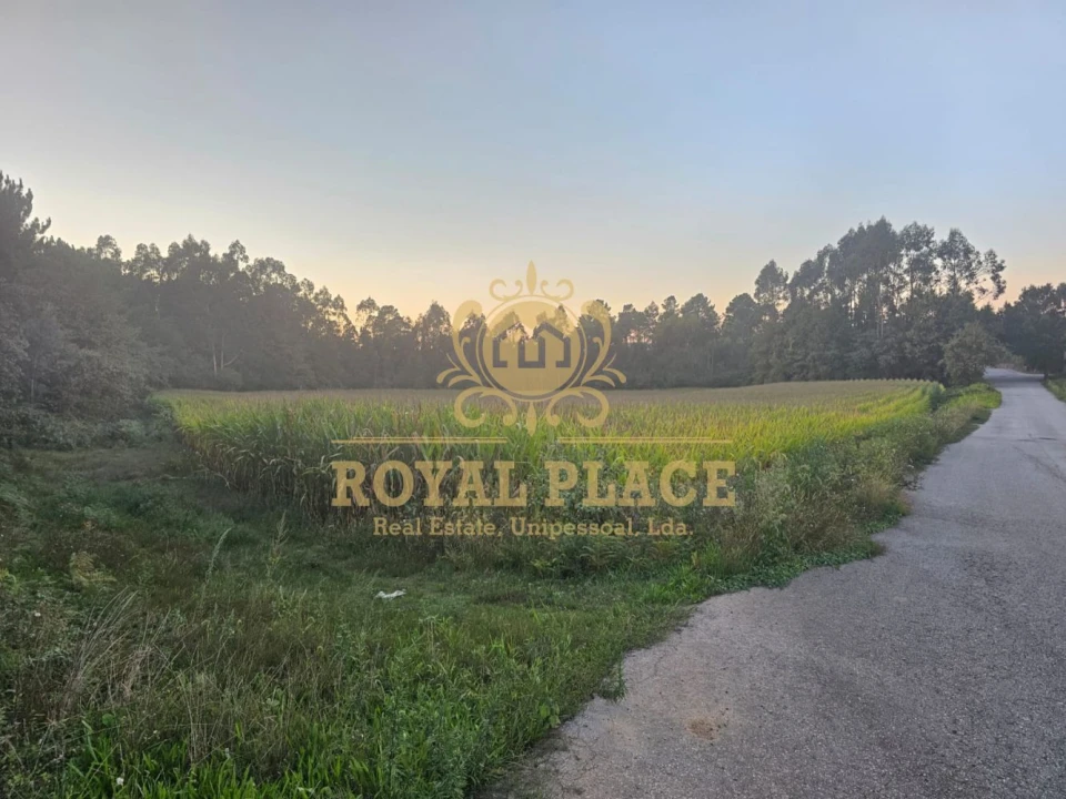 Terreno para Venda em Santa Maria da Feira, Travanca, Sanfins e Espargo Foto 8