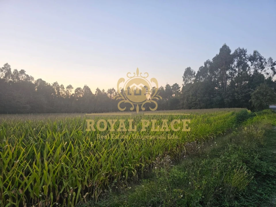 Terreno para Venda em Santa Maria da Feira, Travanca, Sanfins e Espargo Foto 4