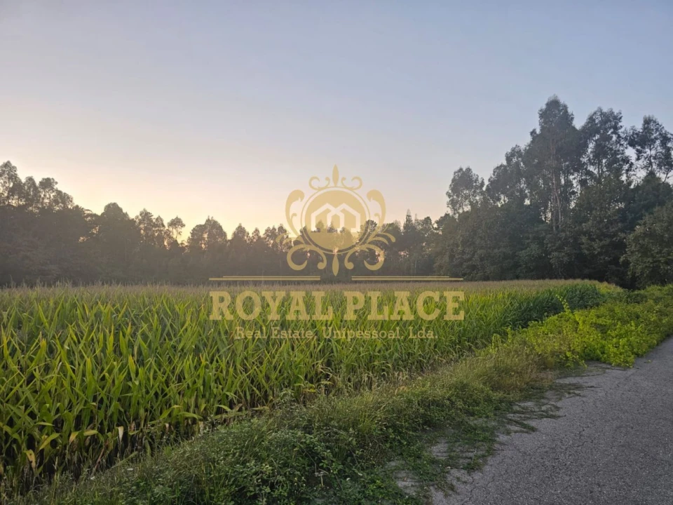 Terreno para Venda em Santa Maria da Feira, Travanca, Sanfins e Espargo Foto 3