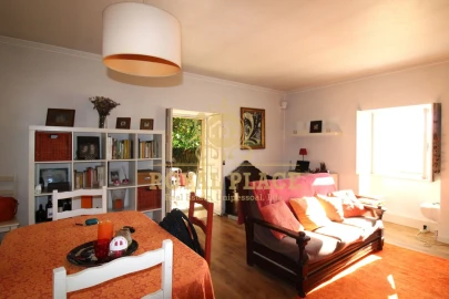 Quinta T1 para Venda em O. Azeméis, Riba-Ul, Ul, Macinhata Seixa, Madail