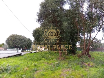 Terreno para Venda em Paços de Brandão