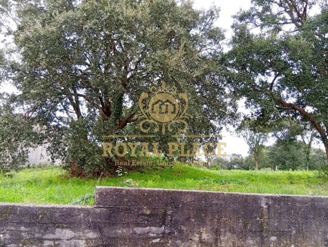 Terreno para Venda em Paços de Brandão Foto 14