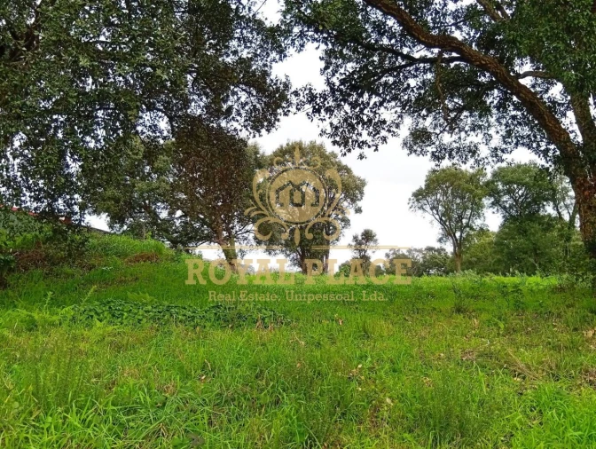 Terreno para Venda em Paços de Brandão Foto 12