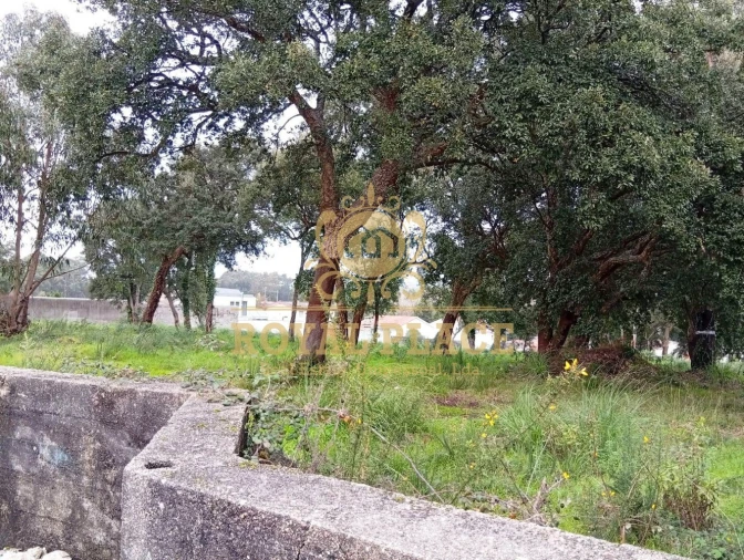 Terreno para Venda em Paços de Brandão Foto 9