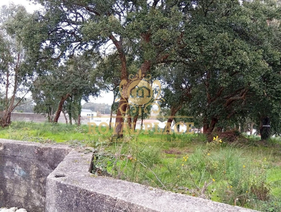 Terreno para Venda em Paços de Brandão Foto 9