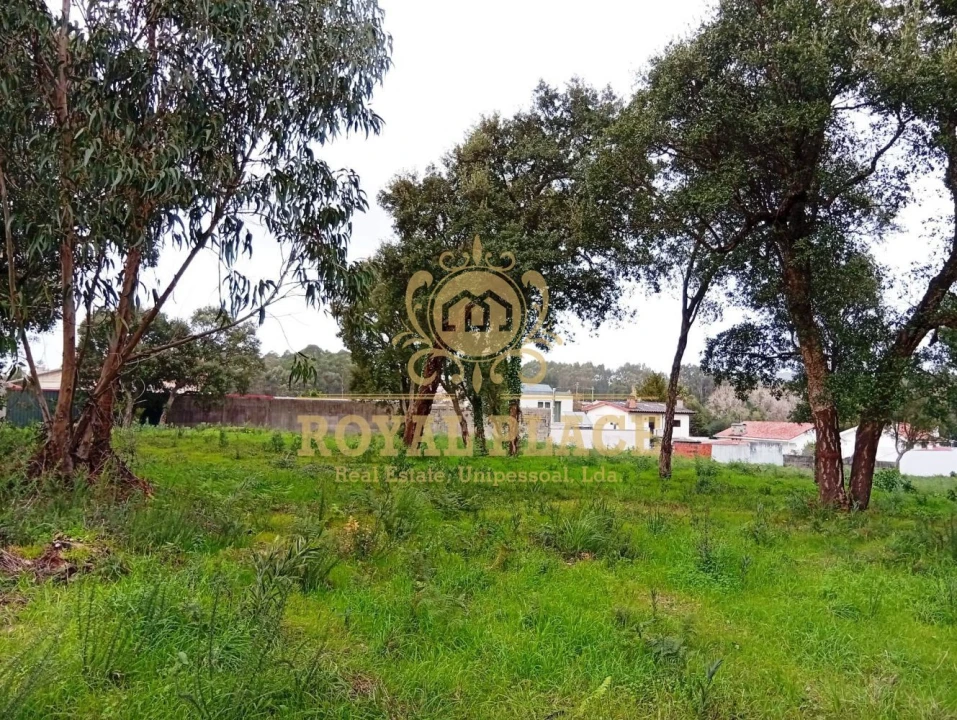 Terreno para Venda em Paços de Brandão Foto 6