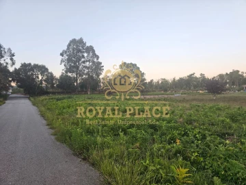 Terreno para Venda em Santa Maria da Feira, Travanca, Sanfins e Espargo
