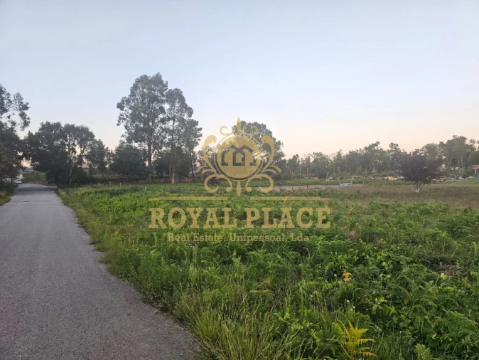 Terreno para Venda em Santa Maria da Feira, Travanca, Sanfins e Espargo Foto 5