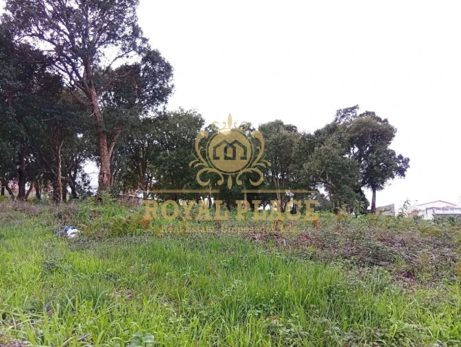 Terreno para Venda em Paços de Brandão Foto 4