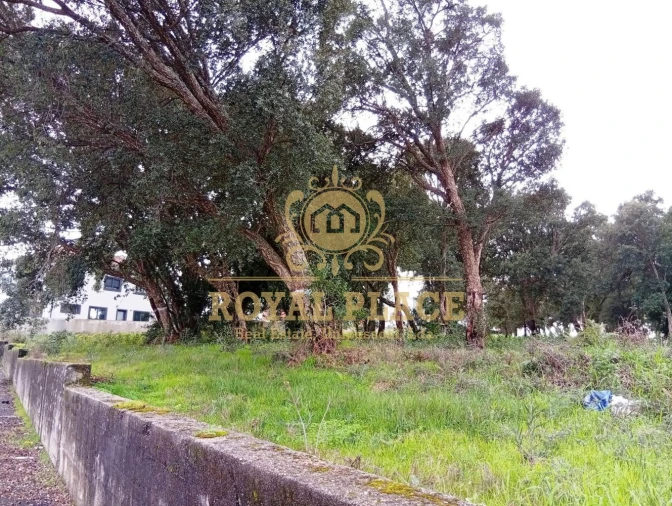 Terreno para Venda em Paços de Brandão Foto 3