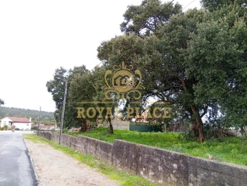 Terreno para Venda em Paços de Brandão