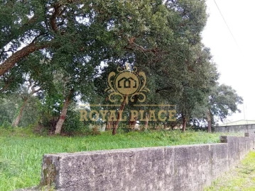 Terreno para Venda em Paços de Brandão