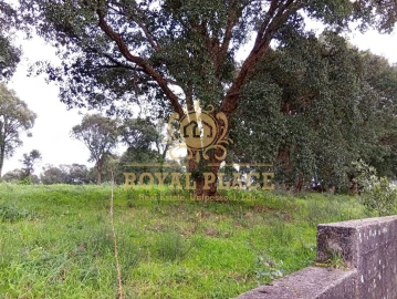 Terreno para Venda em Paços de Brandão