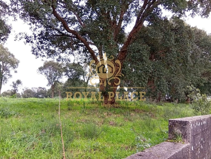 Terreno para Venda em Paços de Brandão Foto 8