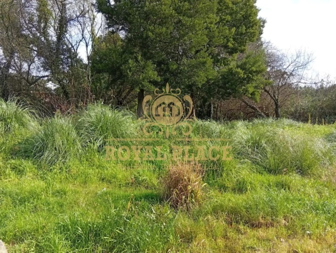 Terreno para Venda em Paços de Brandão Foto 10