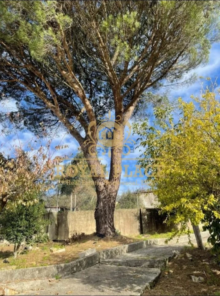Terreno para Venda em São Martinho da Gandara Foto 4