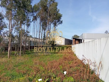 Terreno para Venda em Santa Maria de Lamas