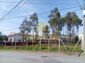 Terreno para Venda em Santa Maria de Lamas
