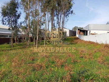 Terreno para Venda em Santa Maria de Lamas