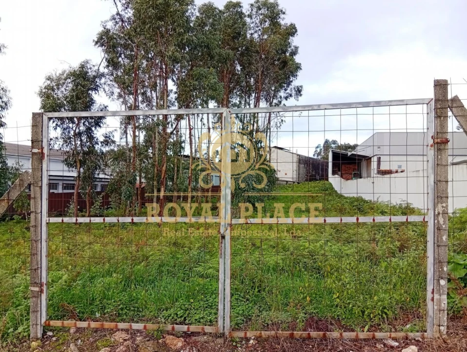 Terreno para Venda em Santa Maria de Lamas Foto 9