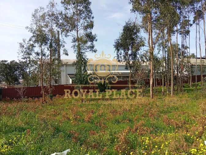 Terreno para Venda em Santa Maria de Lamas Foto 15