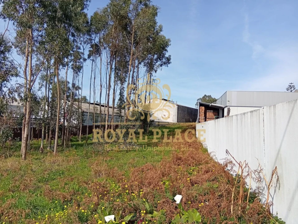 Terreno para Venda em Santa Maria de Lamas Foto 14