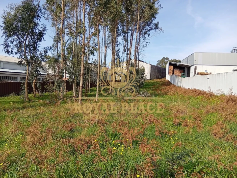 Terreno para Venda em Santa Maria de Lamas Foto 12