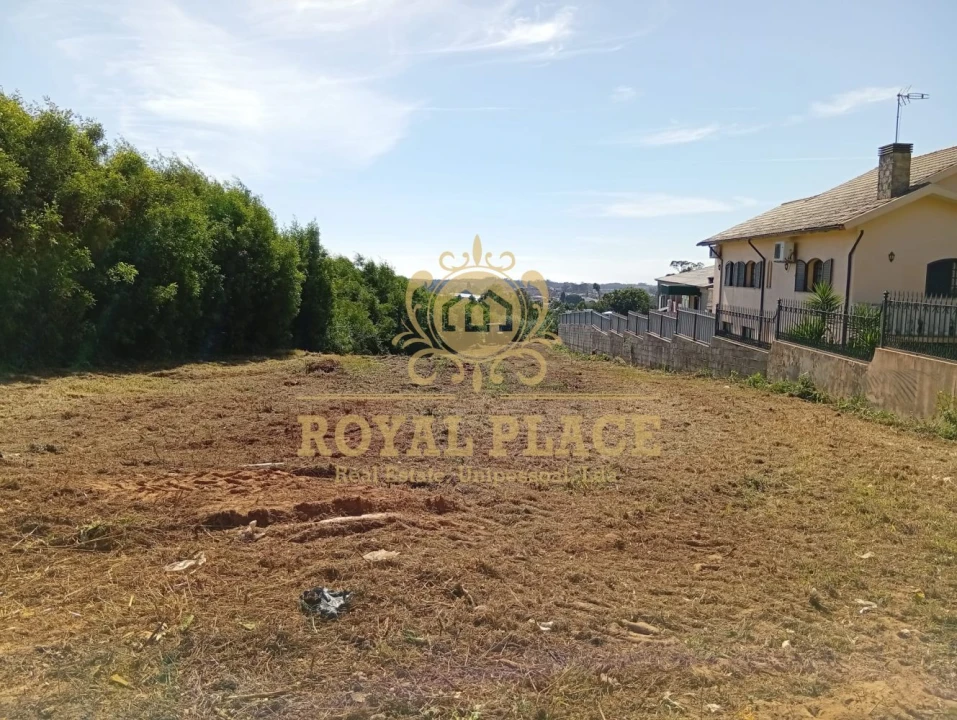 Terreno para Venda em Santa Maria de Lamas Foto 8