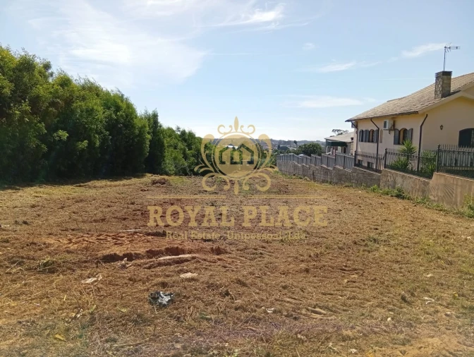 Terreno para Venda em Santa Maria de Lamas Foto 8