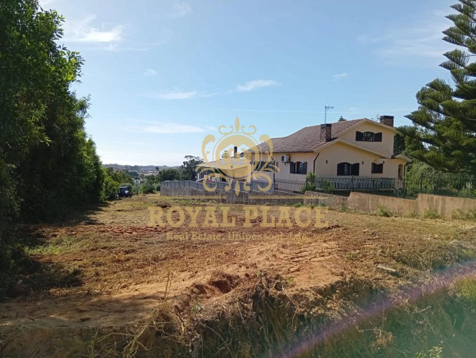 Terreno para Venda em Santa Maria de Lamas Foto 6