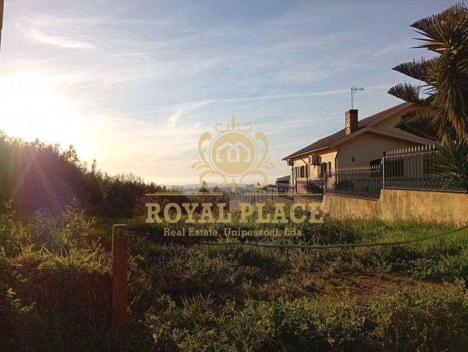 Terreno para Venda em Santa Maria de Lamas Foto 13