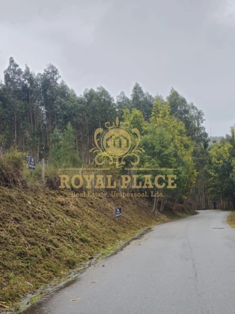 Terreno para Venda em Santa Maria de Sardoura