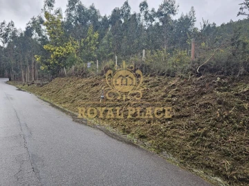 Terreno para Venda em Santa Maria de Sardoura