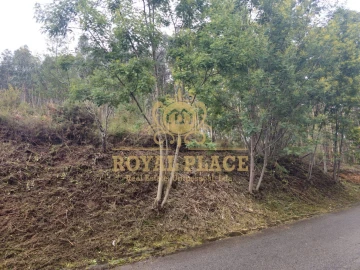 Terreno para Venda em Santa Maria de Sardoura