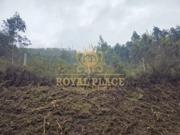Terreno para Venda em Santa Maria de Sardoura