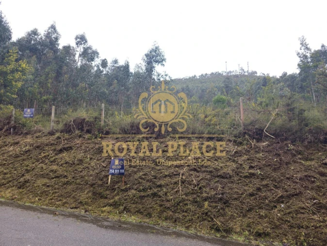 Terreno para Venda em Santa Maria de Sardoura Foto 11