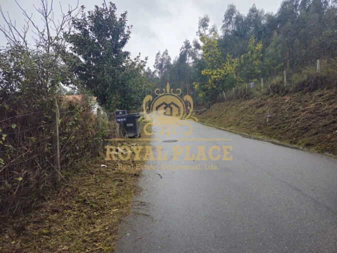 Terreno para Venda em Santa Maria de Sardoura Foto 9