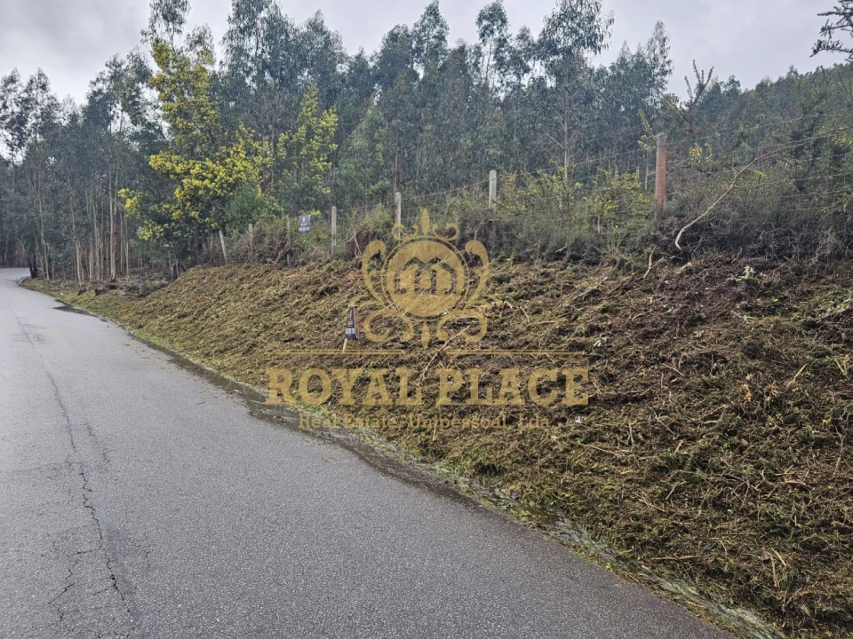 Terreno para Venda em Santa Maria de Sardoura Foto 12