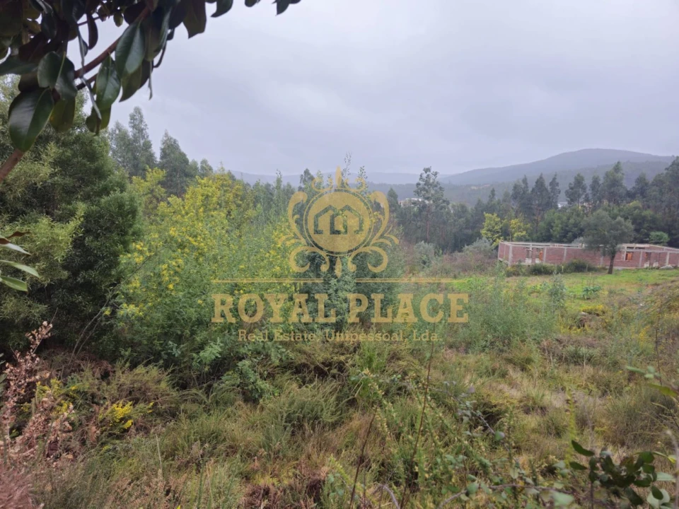 Terreno para Venda em Santa Maria de Sardoura Foto 3