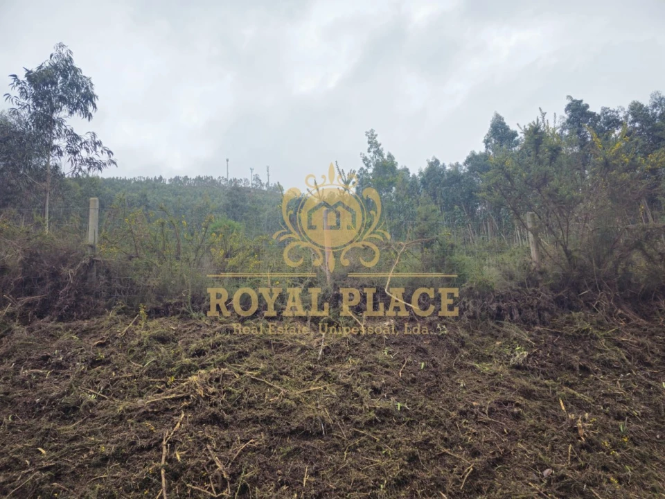 Terreno para Venda em Santa Maria de Sardoura Foto 10